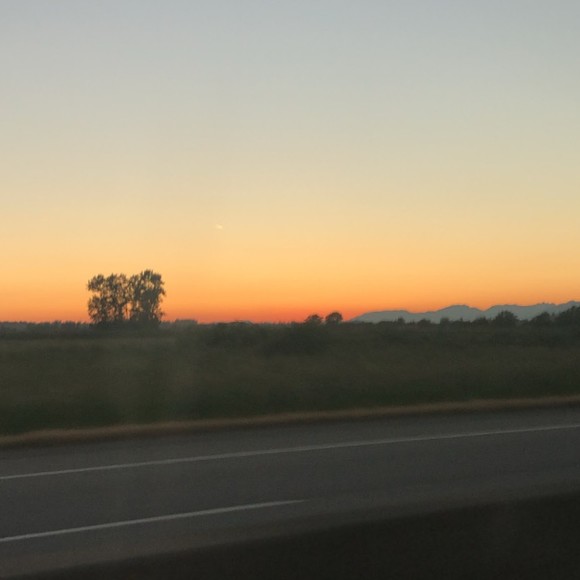 Meet your Posher, Charlotte - Picture 1 of 1